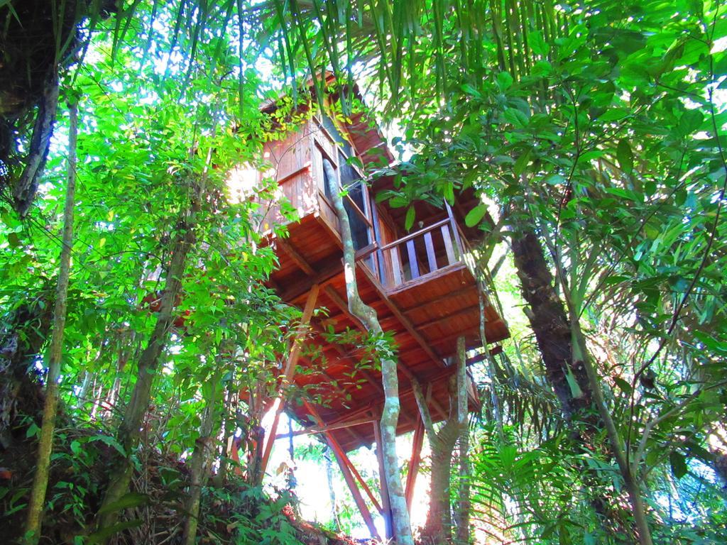 Hôtel Hars Garden Tree Houses à Ubud Extérieur photo