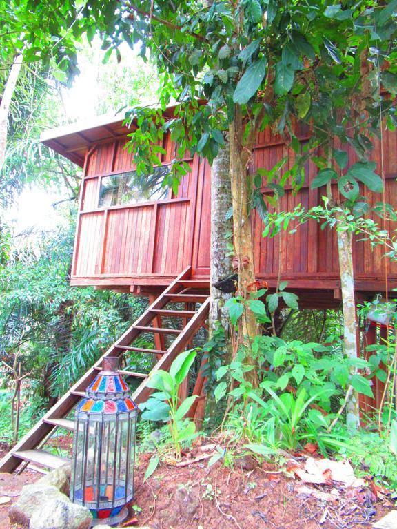Hôtel Hars Garden Tree Houses à Ubud Extérieur photo